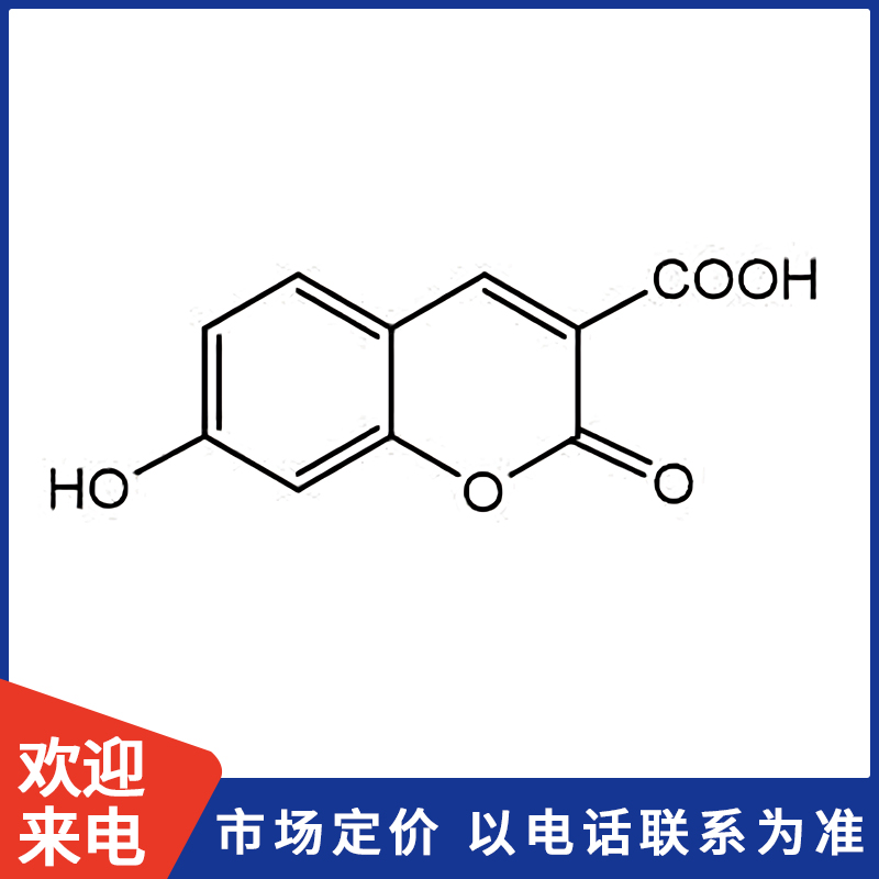 800X800模板.jpg 800X800模板.jpg